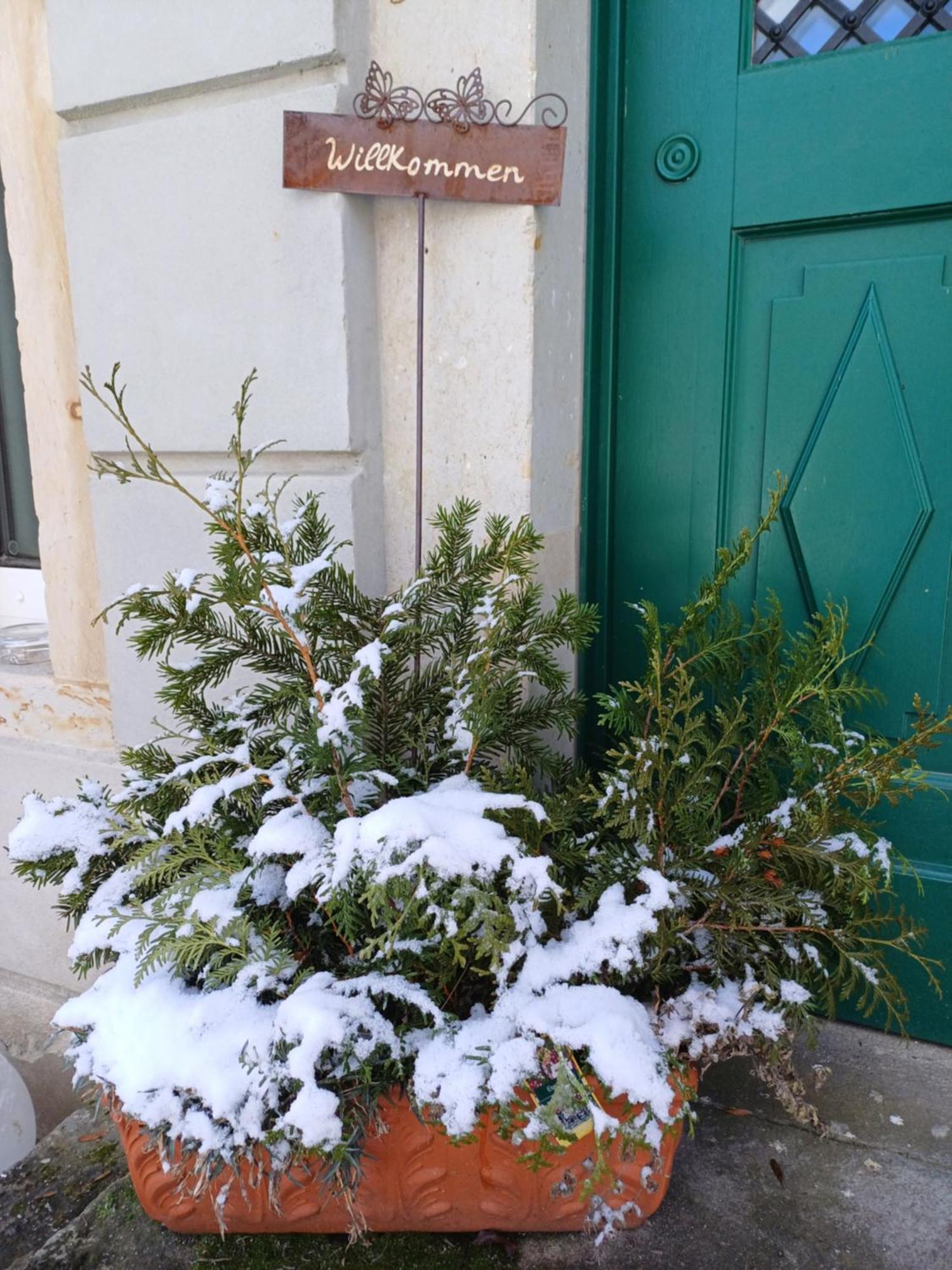 فندق Plantagengut Hosterwitz دريسدن المظهر الخارجي الصورة